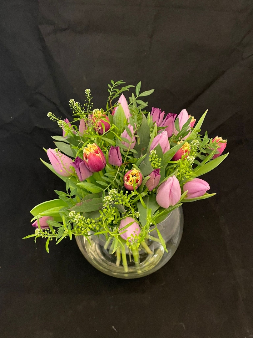 Tip Top Tulips