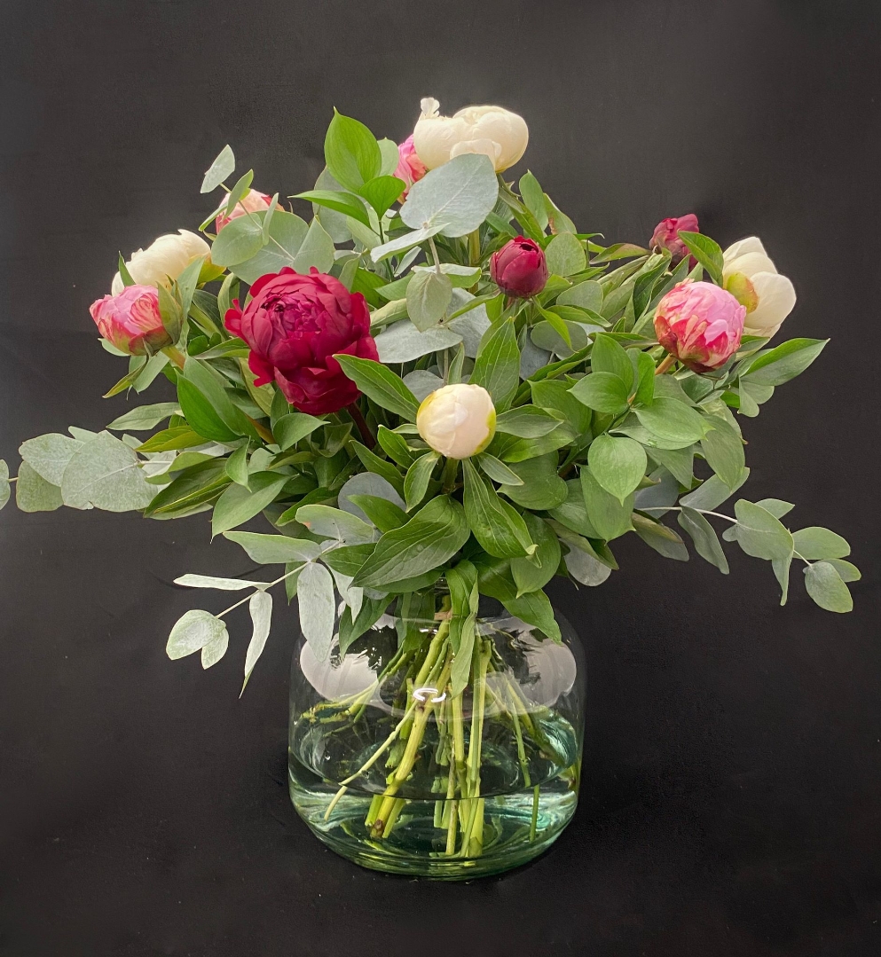 Precious Peonies
